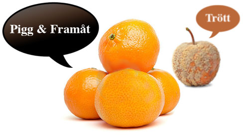 clementin - Fristil Reklambyrå och Webbyrå i Halmstad Halland Clementiner i förgrunden, ruttet äpple i bakgrunden