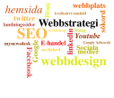 Webbstrategi
